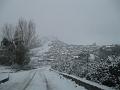 Neve (69)